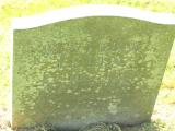 image number Stog216